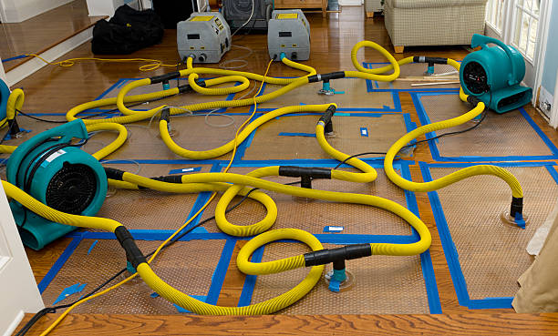 Professional Structural Drying And Dehumidification technician working in Clermont, FL